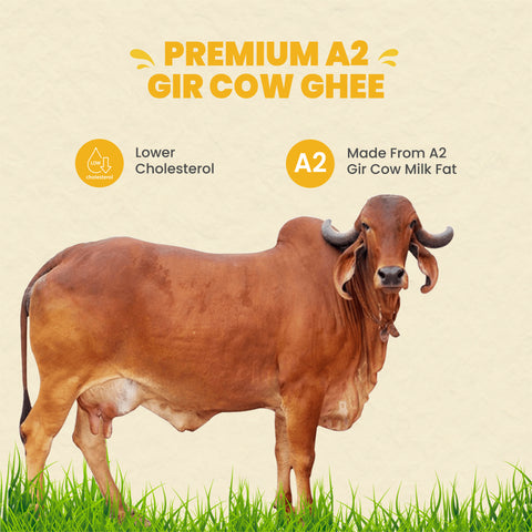 Premium Pure A2 Gir Cow Ghee